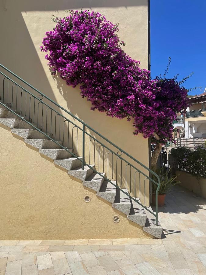 B&B L'Albero Di Melograno Seccheto Exterior foto
